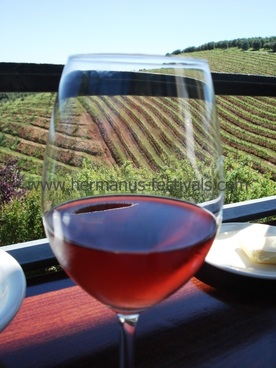Wine Tours, wineries, wine farms and wine tasting in Hermanus, South Africa