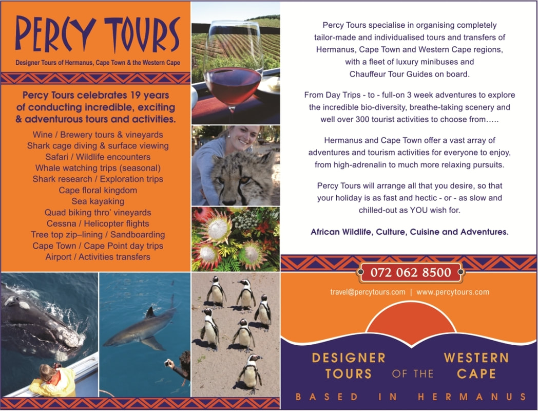 Percy Tours of Hermanus celebrated, in 2023, over 19 years of conducting tours, activities and adventures of Hermanus, Cape Town and the Western Cape