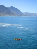 Sea Kayaking with the Whales Hermanus