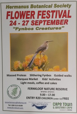 Hermanus Flower and Fynbos Festival, Fernkloof