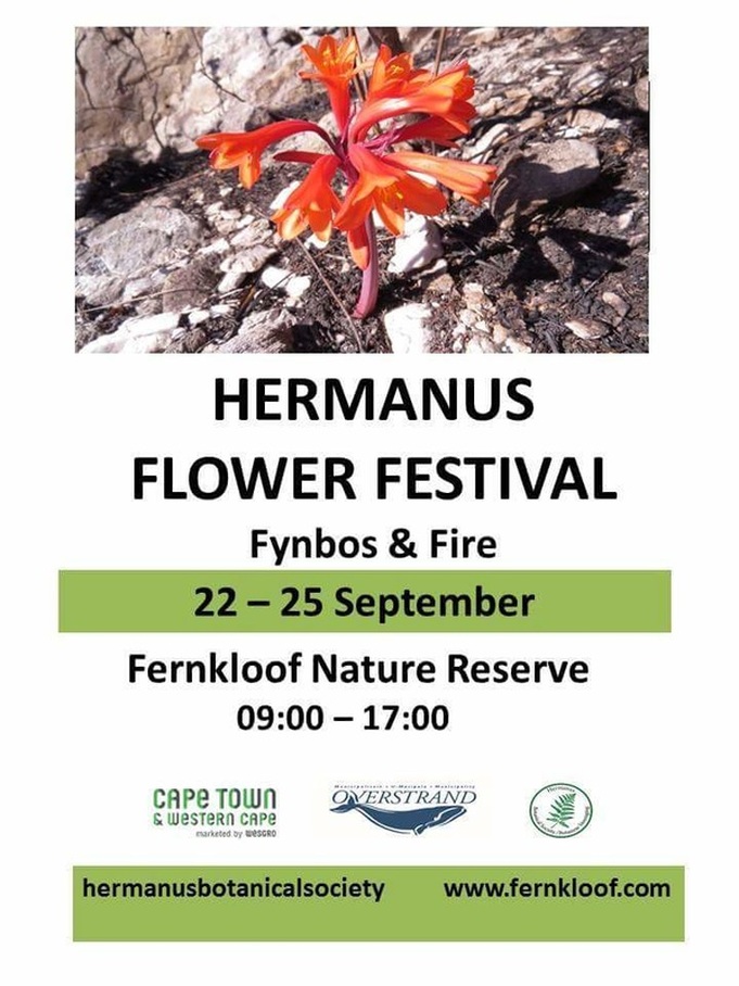 Hermanus Flower festival at Fernkloof 22nd to 25th Sept 2016