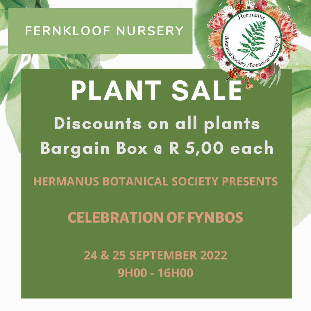 Hermanus Flower Festival - 24th and 25th SEPT, 2022 - at Fernkloof Reserve