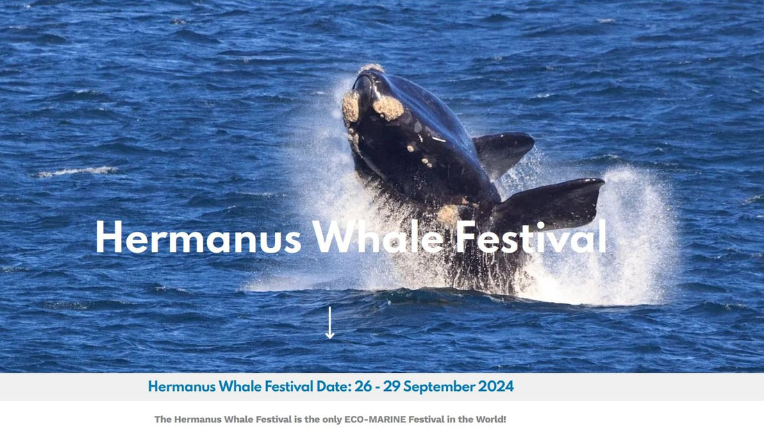 Hermanus Whale Festival - 26th to 29th SEPT, 2024