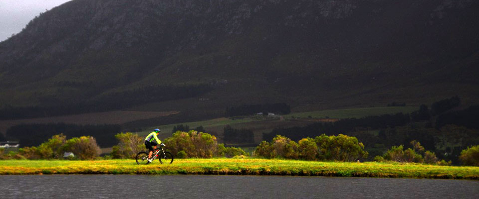 MTB Cyclist in Hermanus, near Cape Town, South Africa
