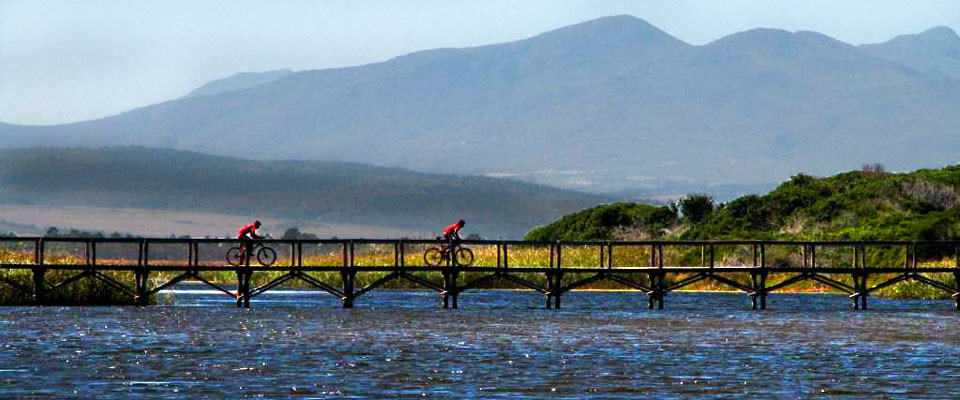 MTB Cyclists in Hermanus, near Cape Town, South Africa