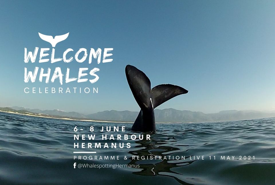Welcome Whales Celebration, 6th to 8th June 2021 in Hermanus, near Cape Town, South Africa